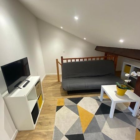 Studio Renove Proche Palais Des Sports Grenoble Eksteriør billede